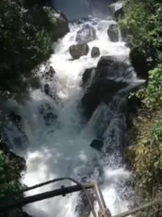 每天吃鱼肝油是否会变胖？游戏画面